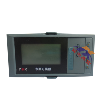 NHR-7101-A-X-D记录仪 NHR虹润无纸记录仪 NHR-7100R